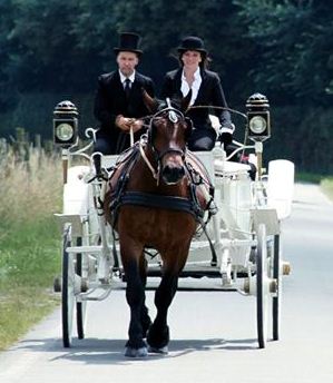 Location de calèche, fête de village, mariage